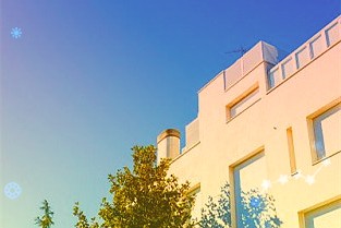 任同苏：守农耕初心铸农业品牌